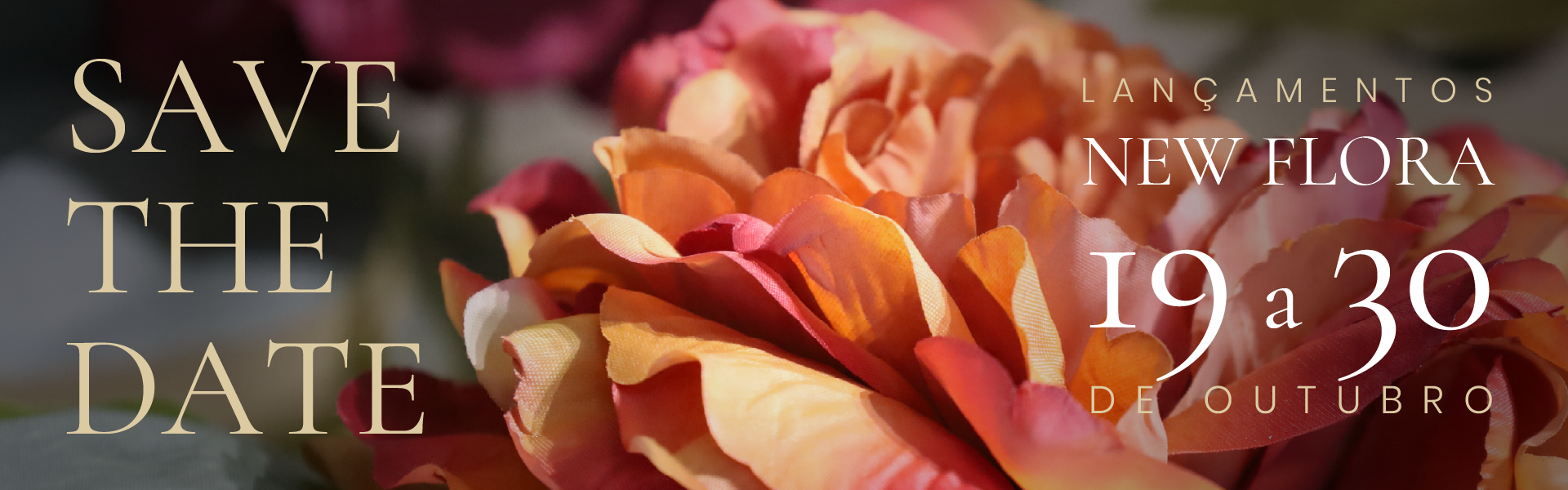 assets/images/banner/1789071221-imagem_desktop.webp